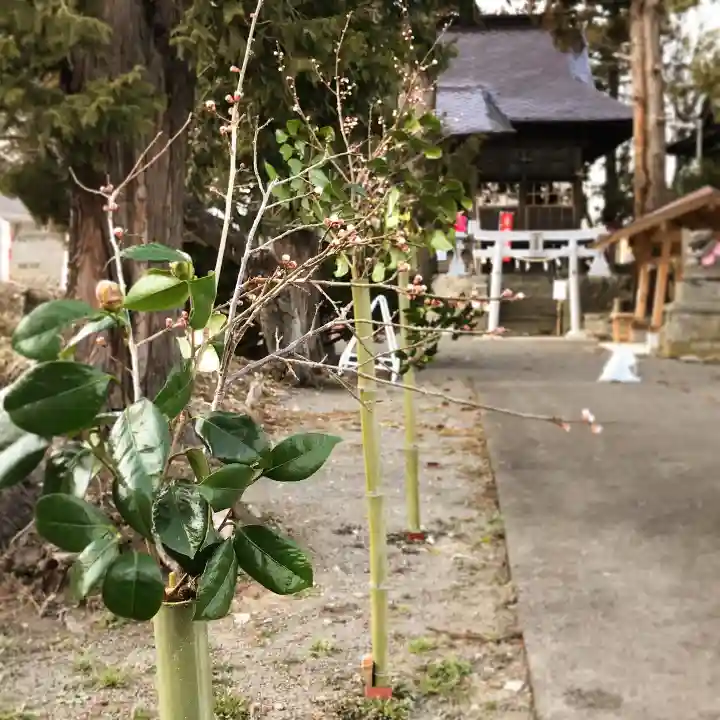 高司神社〜むすびの神の鎮まる社〜の自然