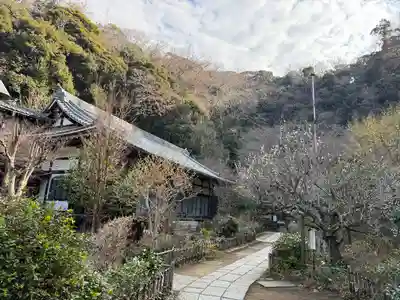 円覚寺(神奈川県)