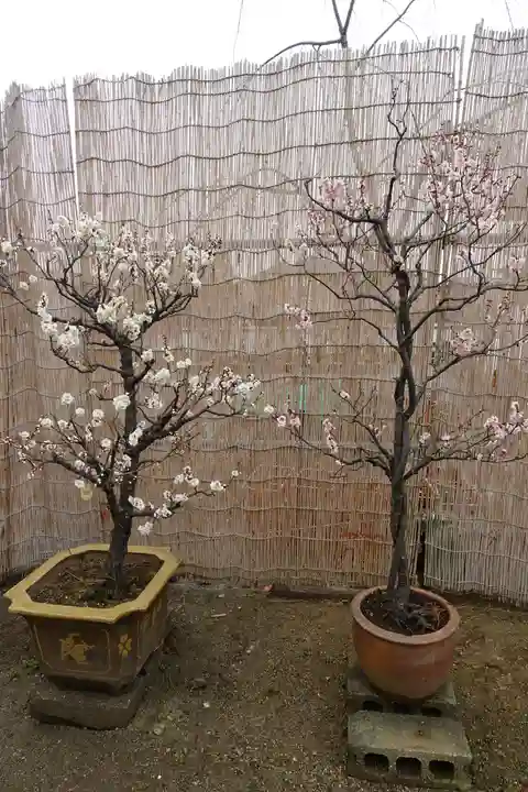 菅原天満宮(菅原神社)のその他建物