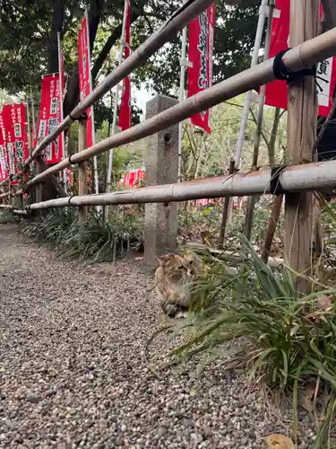 楠珺社（住吉大社末社）(大阪府)