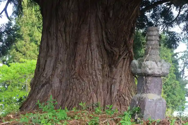 御札神社の歴史