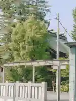 越谷香取神社(埼玉県)