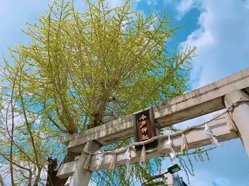 今戸神社の鳥居