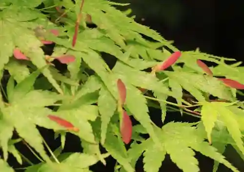 浄住寺(京都府)