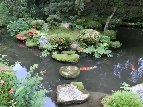 三千院門跡の庭園