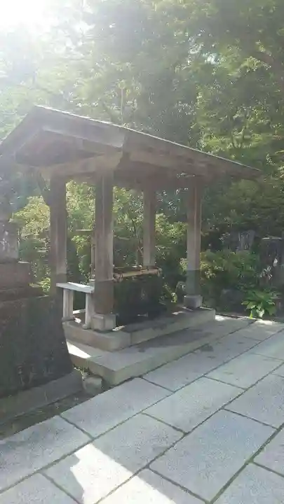 達磨寺(群馬県)