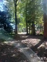 寒田神社(神奈川県)