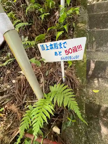 秩父御嶽神社(埼玉県)