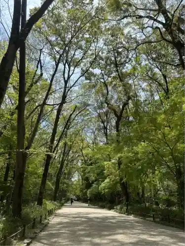 賀茂御祖神社（下鴨神社）の景色