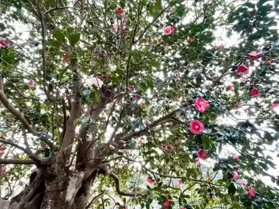 浄得寺(三重県)