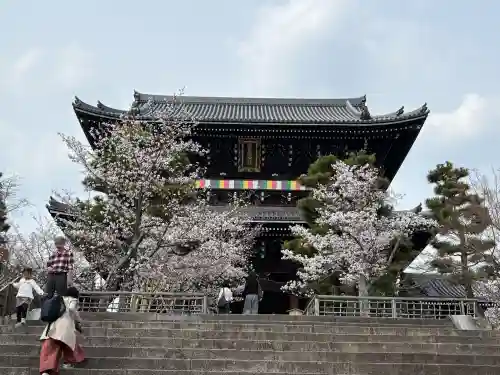 くろ谷 金戒光明寺の{uncategorized: "未分類", other: "その他", undefined: "問題あり", building: "その他建物", grave: "お墓", sacred_gate: "鳥居", guardian: "狛犬", statue: "像", buddha: "仏像", history: "歴史", nature: "自然", garden: "庭園", animal: "動物", pagoda: "塔", temizu: "手水舎", mountain_gate: "山門・神門", sanctuary: "本殿・本堂", subordinate: "末社・摂社", art: "芸術", scenery: "景色", jizo: "地蔵", ema: "絵馬", goshuin: "御朱印", omikuji: "おみくじ", items: "授与品その他", amulet: "お守り", goshuincho: "御朱印帳", eats: "食事", festival: "お祭り", votive_dance: "神楽", shichigosan: "七五三参", wedding: "結婚式", experience: "体験その他", initially: "初詣", around: "周辺", anti_infection: "感染症対策"}