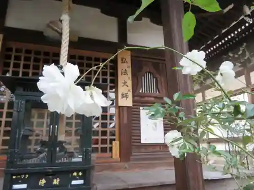 おふさ観音（観音寺）の本殿・本堂