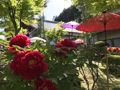 宝徳寺(群馬県)