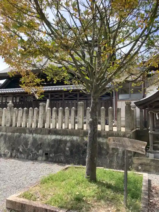 住吉神社のその他建物
