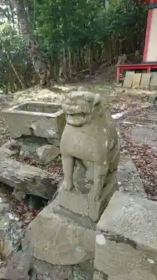 熊野神社の狛犬