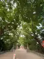 住吉神社の{uncategorized: "未分類", other: "その他", undefined: "問題あり", building: "その他建物", grave: "お墓", sacred_gate: "鳥居", guardian: "狛犬", statue: "像", buddha: "仏像", history: "歴史", nature: "自然", garden: "庭園", animal: "動物", pagoda: "塔", temizu: "手水舎", mountain_gate: "山門・神門", sanctuary: "本殿・本堂", subordinate: "末社・摂社", art: "芸術", scenery: "景色", jizo: "地蔵", ema: "絵馬", goshuin: "御朱印", omikuji: "おみくじ", items: "授与品その他", amulet: "お守り", goshuincho: "御朱印帳", eats: "食事", festival: "お祭り", votive_dance: "神楽", shichigosan: "七五三参", wedding: "結婚式", experience: "体験その他", initially: "初詣", around: "周辺", anti_infection: "感染症対策"}