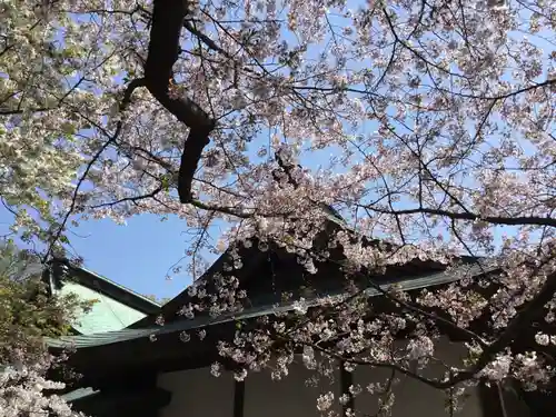 白羽神社の自然