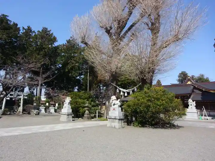 亀ケ池八幡宮のその他建物