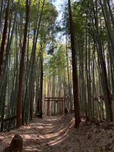稲倉神社の自然