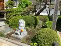 林清寺の{uncategorized: "未分類", other: "その他", undefined: "問題あり", building: "その他建物", grave: "お墓", sacred_gate: "鳥居", guardian: "狛犬", statue: "像", buddha: "仏像", history: "歴史", nature: "自然", garden: "庭園", animal: "動物", pagoda: "塔", temizu: "手水舎", mountain_gate: "山門・神門", sanctuary: "本殿・本堂", subordinate: "末社・摂社", art: "芸術", scenery: "景色", jizo: "地蔵", ema: "絵馬", goshuin: "御朱印", omikuji: "おみくじ", items: "授与品その他", amulet: "お守り", goshuincho: "御朱印帳", eats: "食事", festival: "お祭り", votive_dance: "神楽", shichigosan: "七五三参", wedding: "結婚式", experience: "体験その他", initially: "初詣", around: "周辺", anti_infection: "感染症対策"}