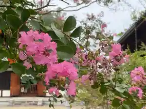 海龍王寺(奈良県)(2025年09月05日(金) 12時23分10秒投稿)