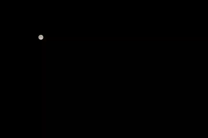 くまくま神社(導きの社 熊野町熊野神社)の自然