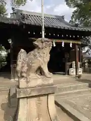 九所御霊天神社の狛犬