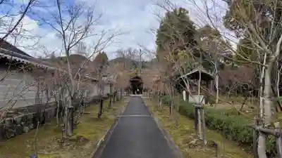 仁和寺(京都府)