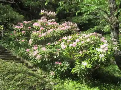浄光明寺(神奈川県)