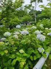 極楽寺(静岡県)