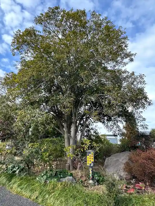 身代り不動尊(大明王院)(東京都)
