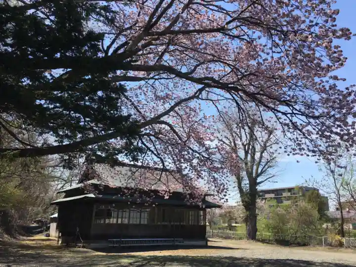 千歳神社の自然