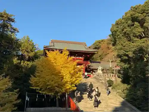 鶴岡八幡宮の自然