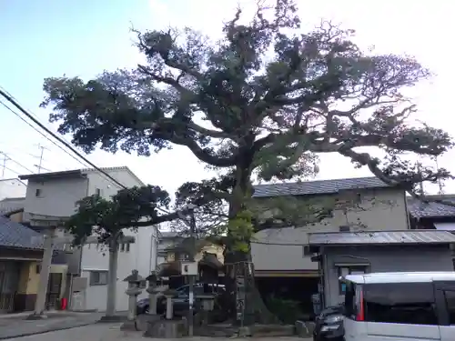 櫟谷七野神社の自然