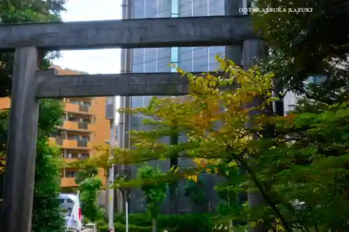 東京大神宮(東京都)