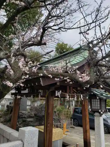 新宿下落合氷川神社(東京都)