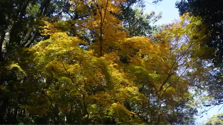 崇道神社(京都府)