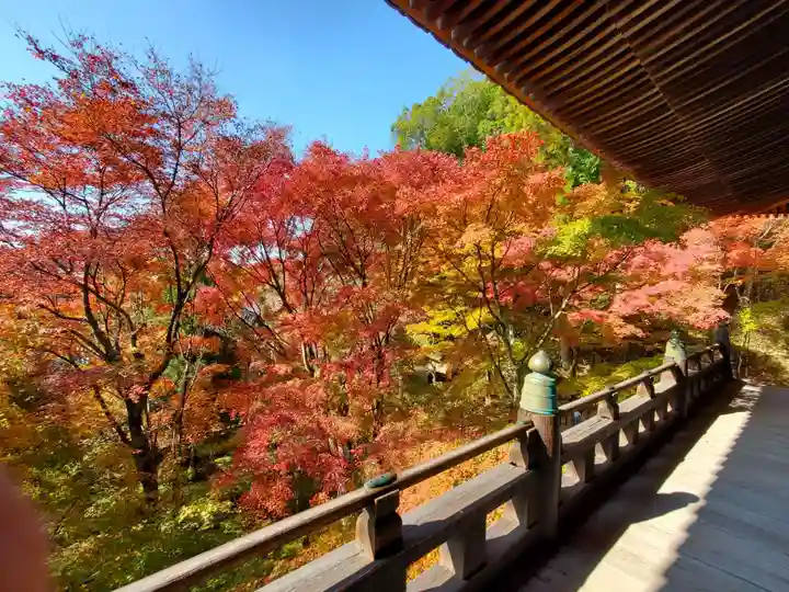 播州清水寺の自然