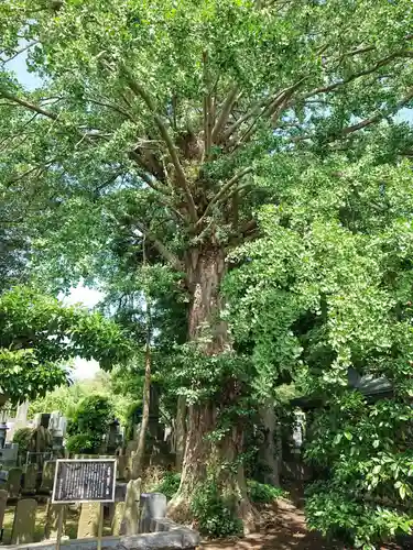 永勝寺のその他建物