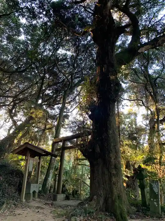 天神社瘡間神社(千葉県)