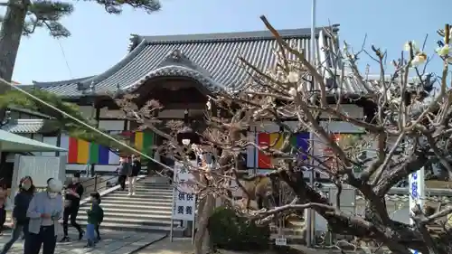 龍光寺(三重県)