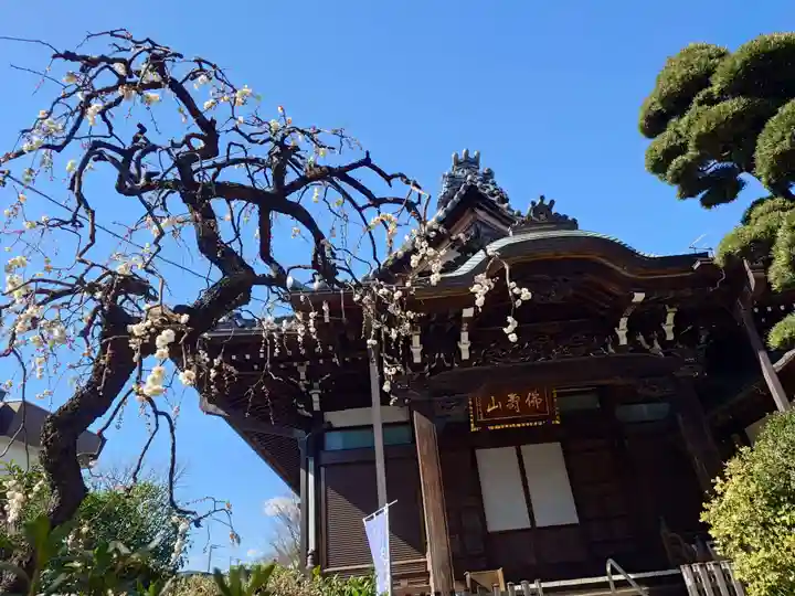 上聖寺(東京都)