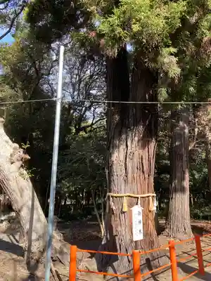 息栖神社の自然