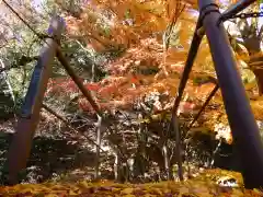 行道山 浄因寺(栃木県)