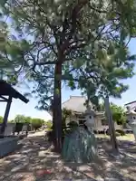 東陽寺(埼玉県)