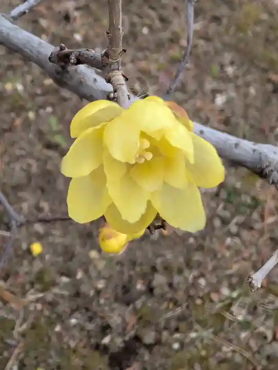寳幢院(東京都)