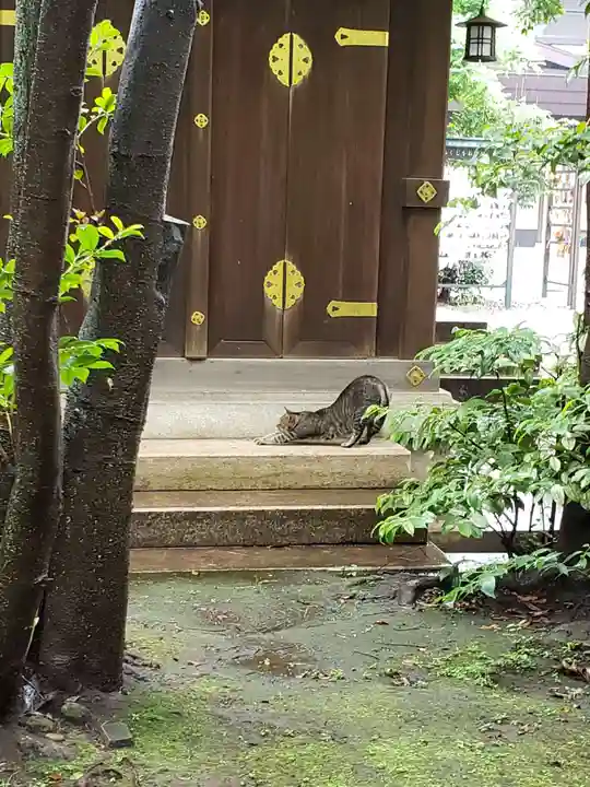 白金氷川神社(東京都)