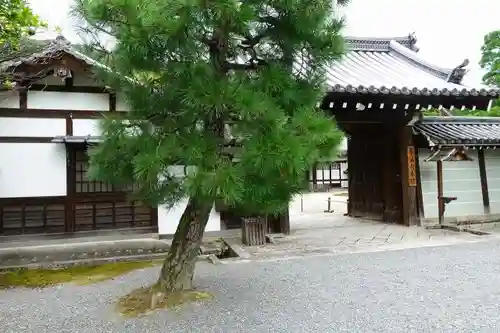 御寺 泉涌寺の庭園