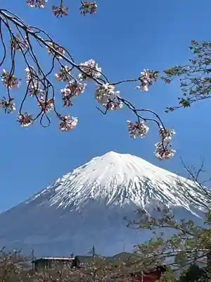 富士山本宮浅間大社(静岡県)