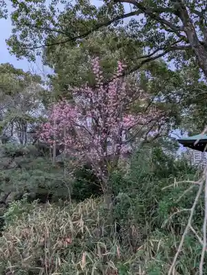 豊國神社の{uncategorized: "未分類", other: "その他", undefined: "問題あり", building: "その他建物", grave: "お墓", sacred_gate: "鳥居", guardian: "狛犬", statue: "像", buddha: "仏像", history: "歴史", nature: "自然", garden: "庭園", animal: "動物", pagoda: "塔", temizu: "手水舎", mountain_gate: "山門・神門", sanctuary: "本殿・本堂", subordinate: "末社・摂社", art: "芸術", scenery: "景色", jizo: "地蔵", ema: "絵馬", goshuin: "御朱印", omikuji: "おみくじ", items: "授与品その他", amulet: "お守り", goshuincho: "御朱印帳", eats: "食事", festival: "お祭り", votive_dance: "神楽", shichigosan: "七五三参", wedding: "結婚式", experience: "体験その他", initially: "初詣", around: "周辺", anti_infection: "感染症対策"}